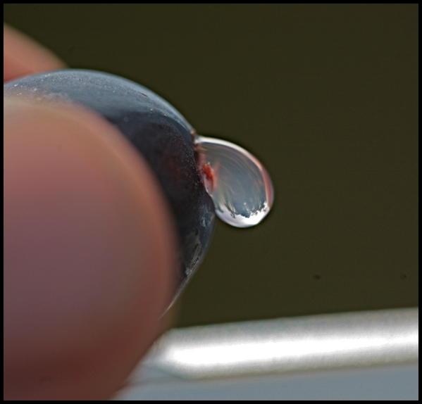 Une goutte de jus
